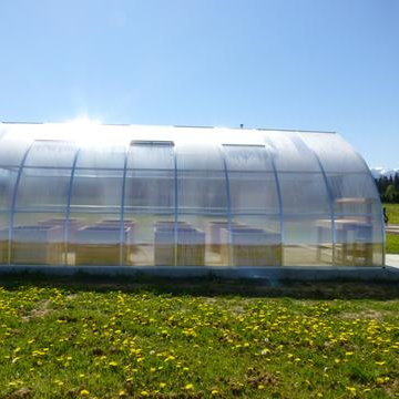 Why is polycarbonate the best material for greenhouses?